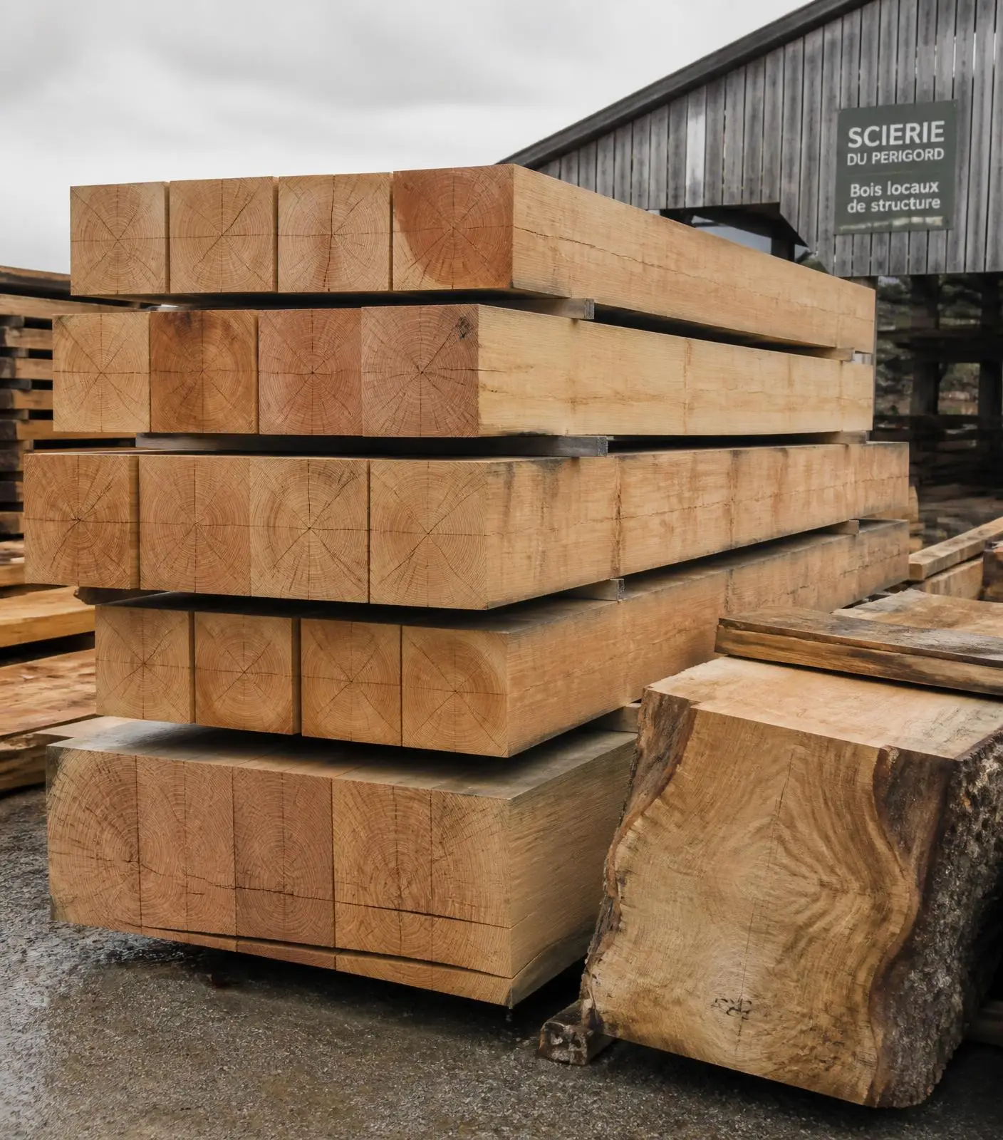 Piles de bois de structure dans la cour de la scierie Mazières